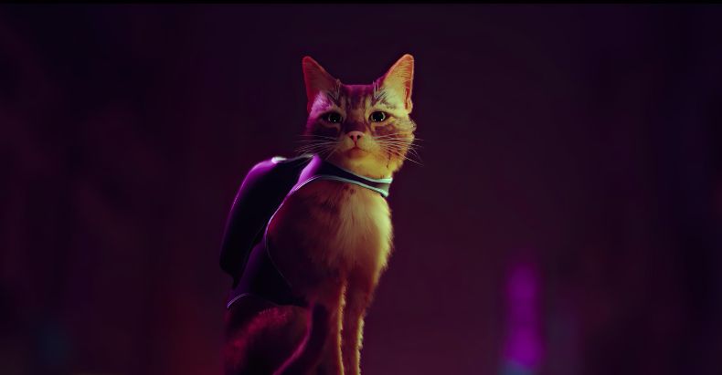 Игра про кота Stray появится на PS4 и выйдет в начале 2022